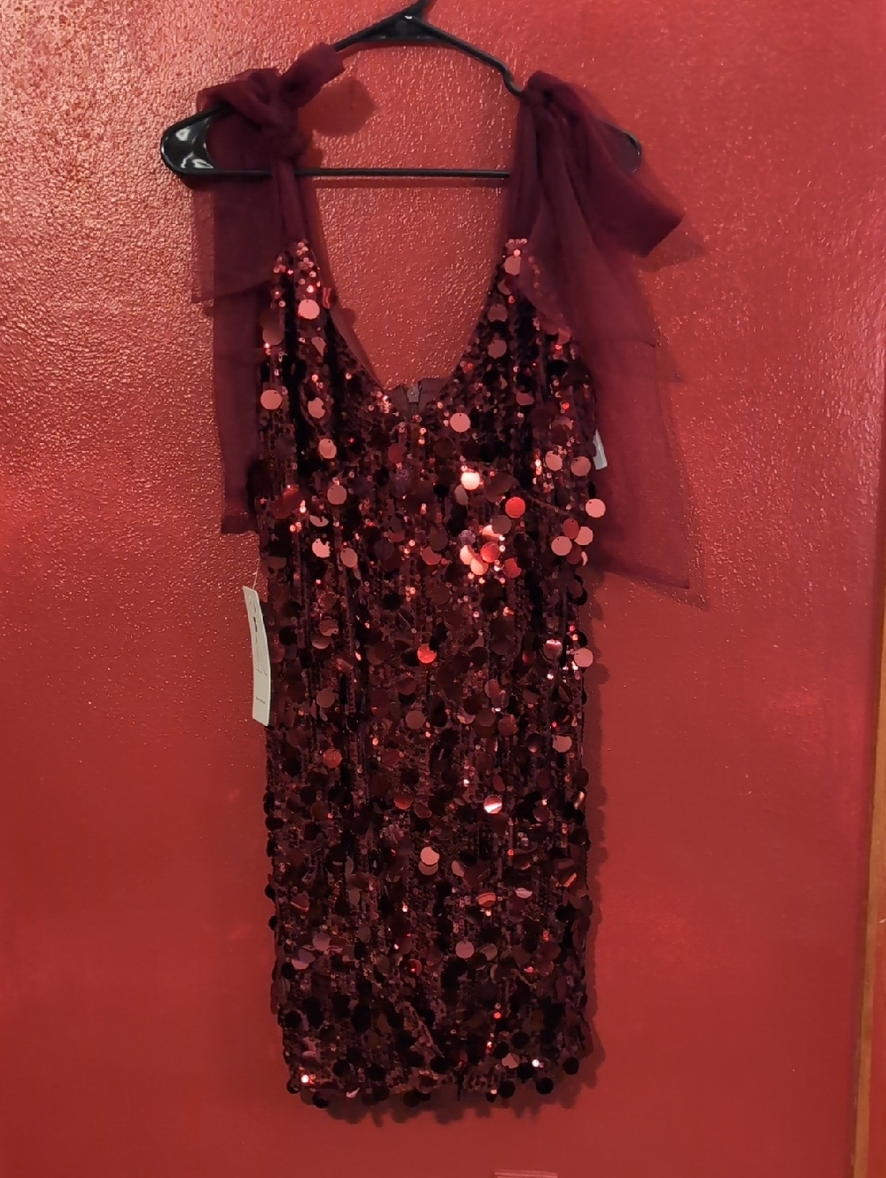 Sequin Mini Dress- Burgundy/Ruby Sequin Detail